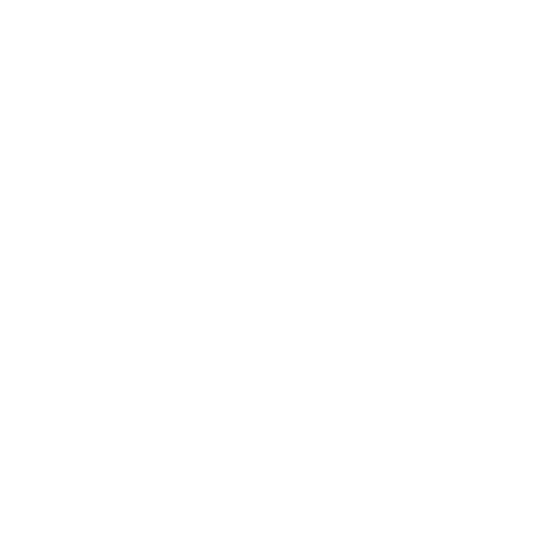 vidalogowhite